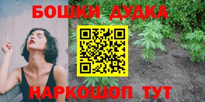 индика Краснознаменск