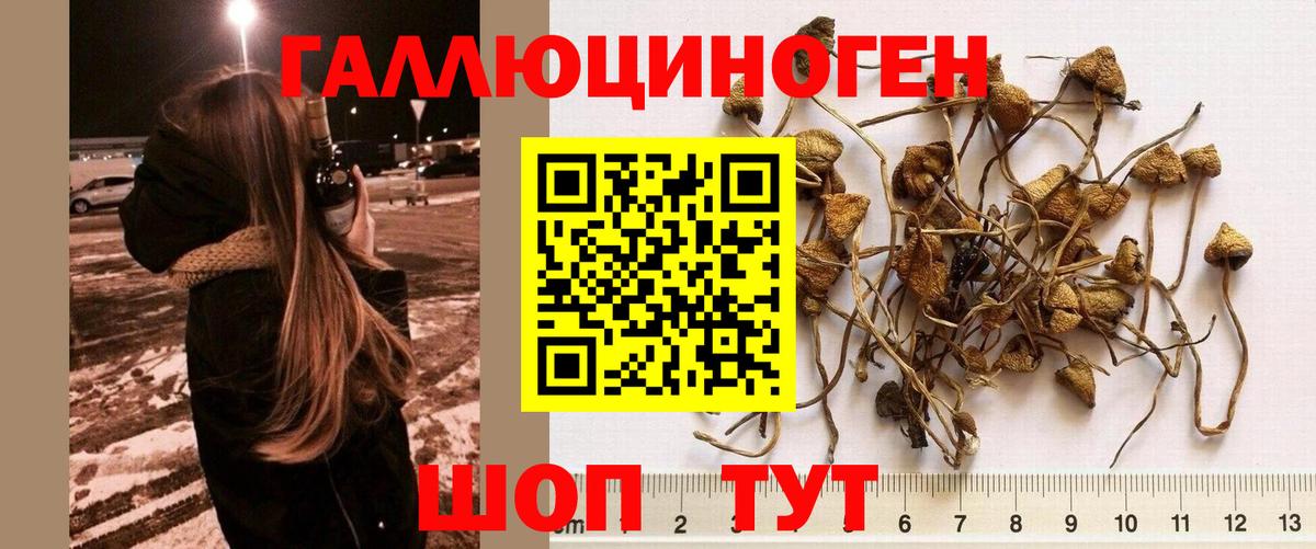 Псилоцибиновые грибы ЛСД Качканар
